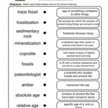 9 Best Images of Fossil Reading Comprehension Worksheets - Fossil Fuel
