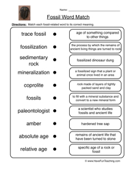 9 Best Images of Fossil Reading Comprehension Worksheets - Fossil Fuel