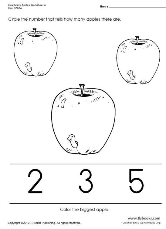 10 Best Images Of Apple Worksheets Grade 1 Apple Tree Seasons Worksheet Creative Writing