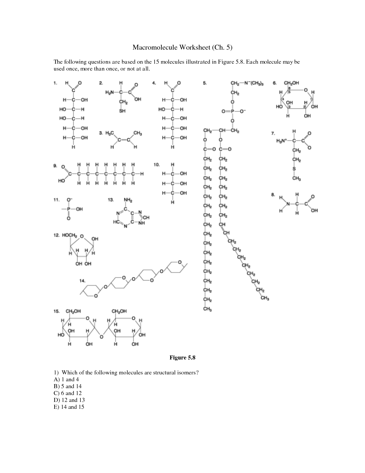 15 Best Images Of Macromolecules Worksheet 2 Answers Macromolecule Worksheet Answer Key 