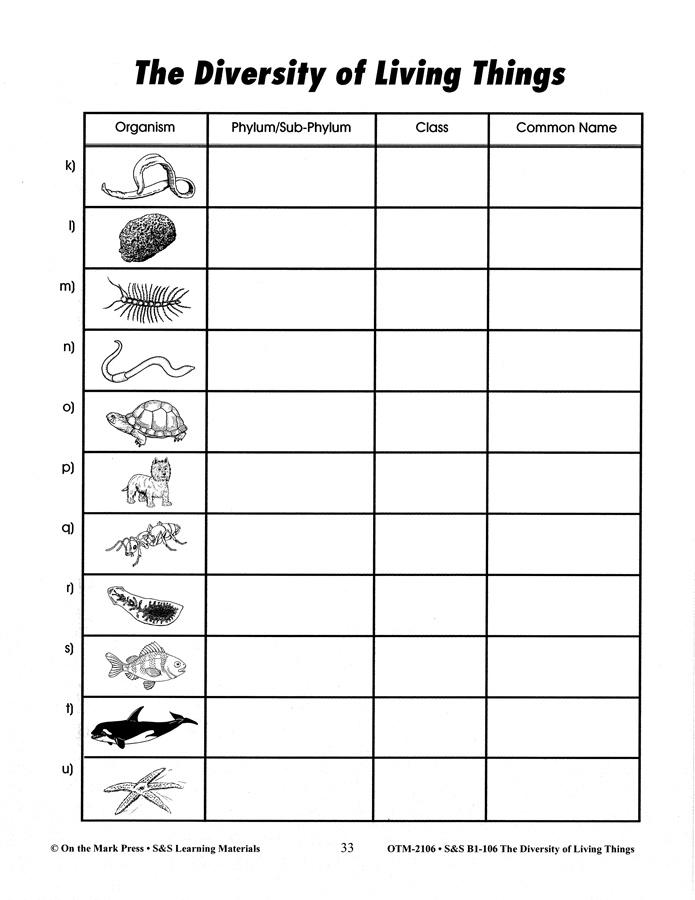 7-best-images-of-animal-kingdom-classification-worksheet-classifying