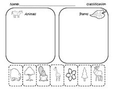 9 Best Images of Plant And Animal Sorting Worksheet - Classifying