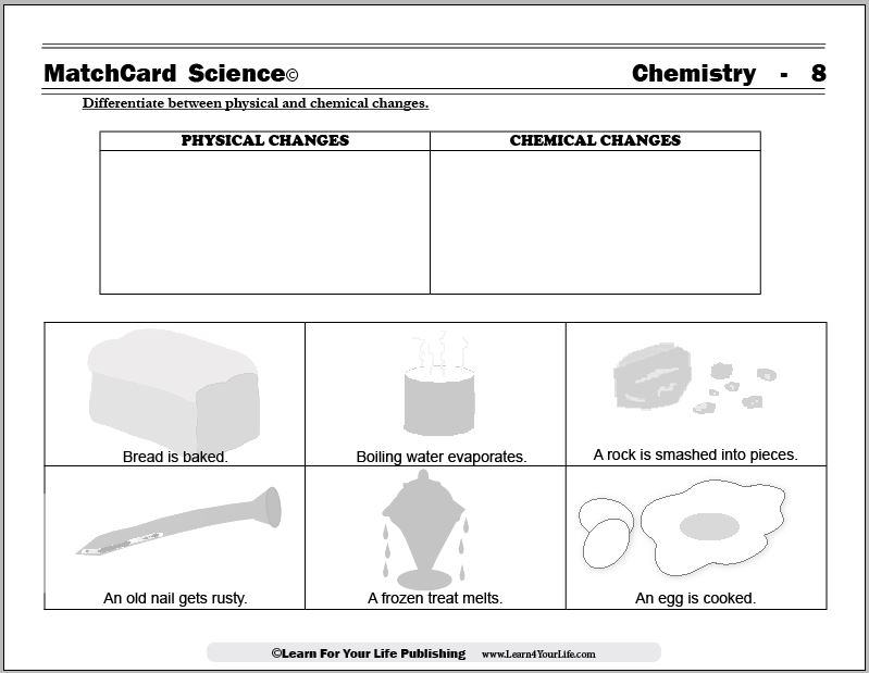 14 Best Images of Life Science Worksheets Printable - Free Printable