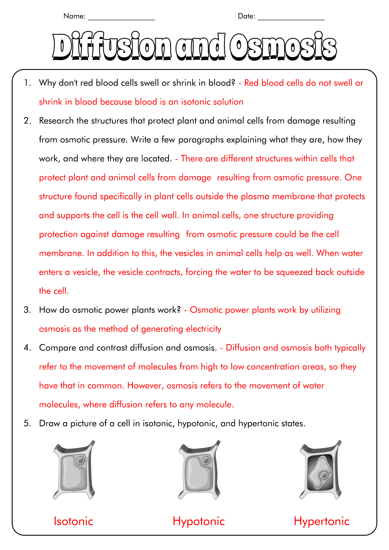 16 Best Images Of Diffusion Osmosis Active Transport Worksheet Cell 