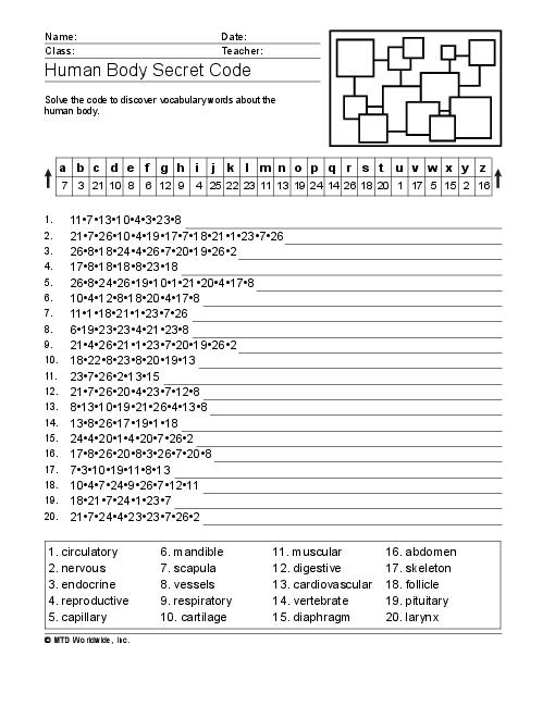 10 Best Images Of Anatomy Of The Constitution Worksheet Printable Worksheets For 6th Grade