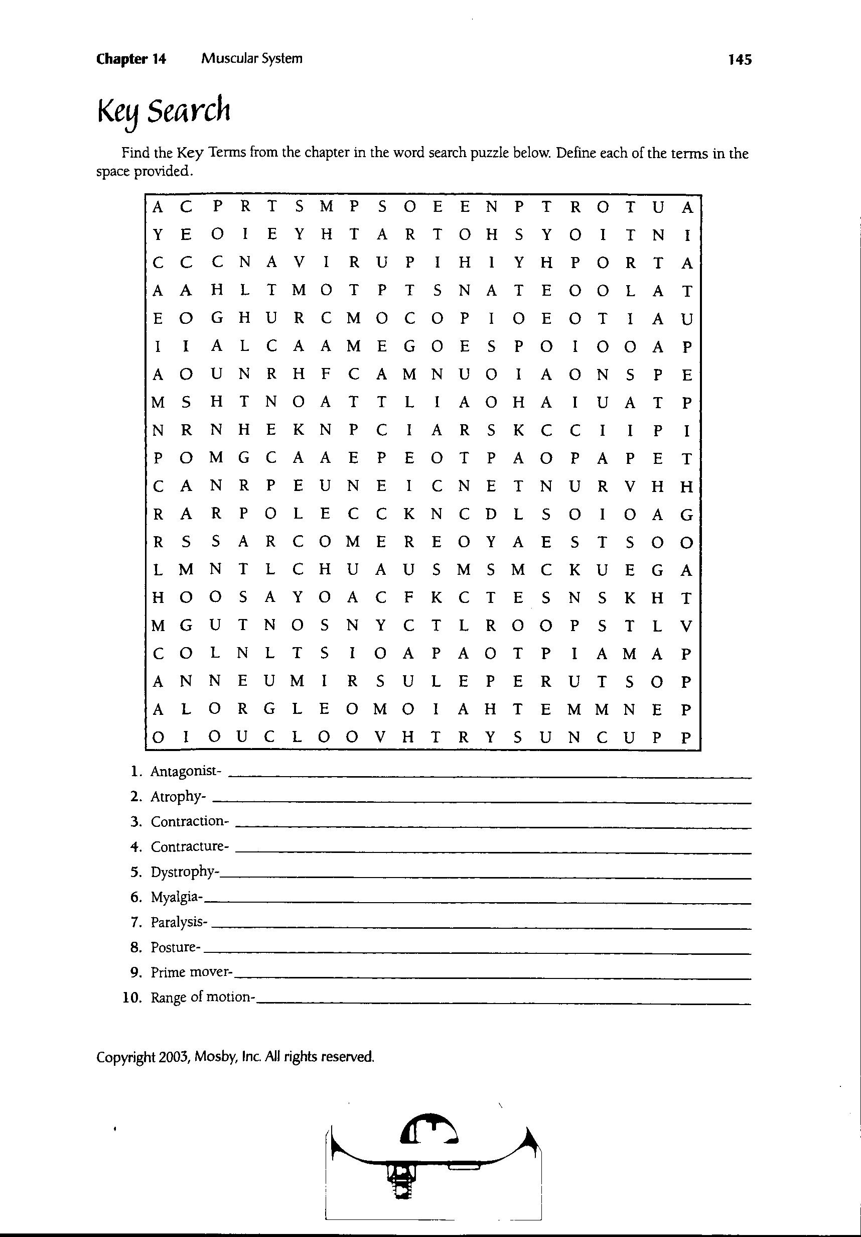 14 Best Images Of Digestive System Notes Worksheet Answers Muscular System Word Search