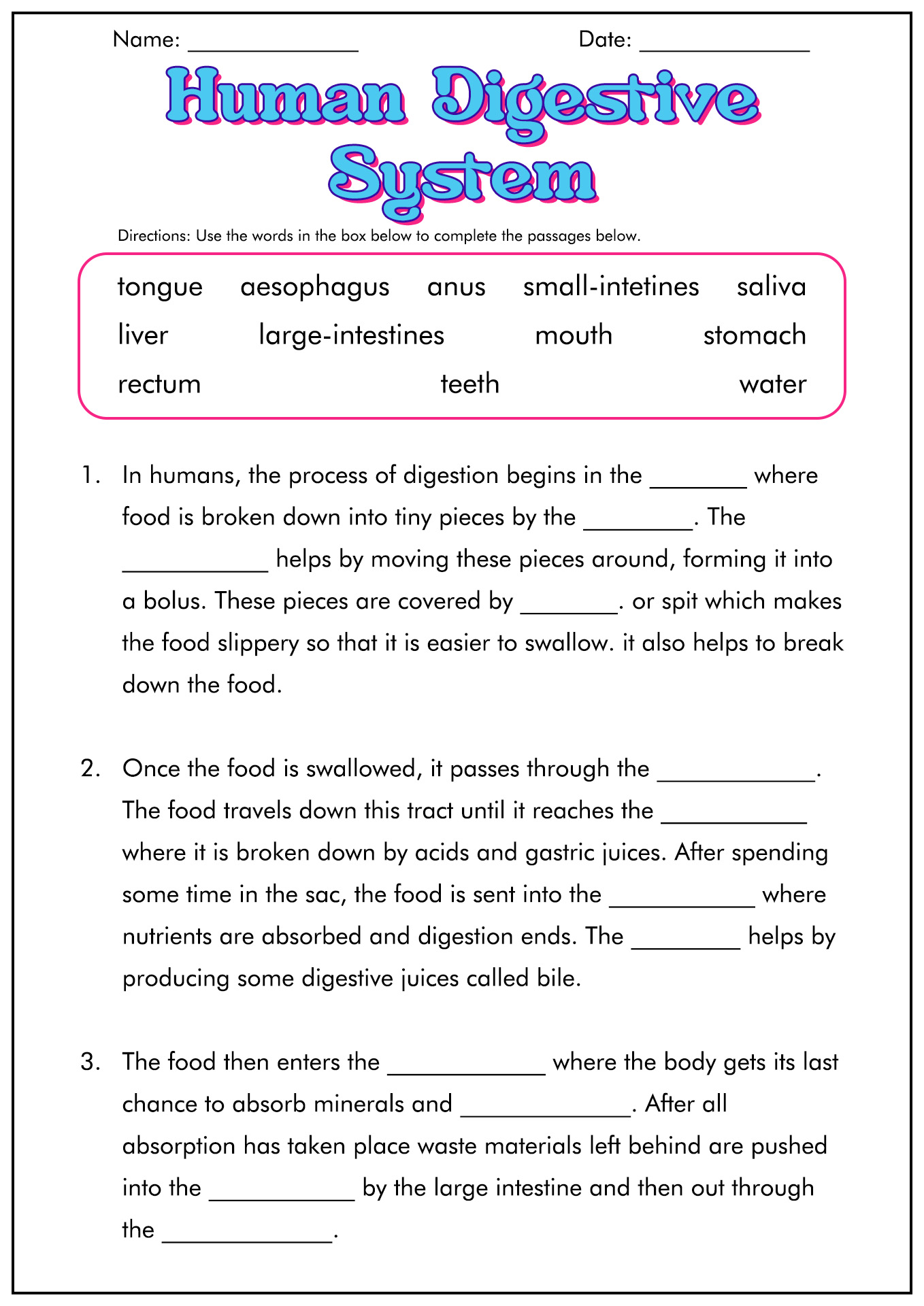 11 Best Images Of Digestive System Worksheet Answer Key Digestive System Worksheet Answers 