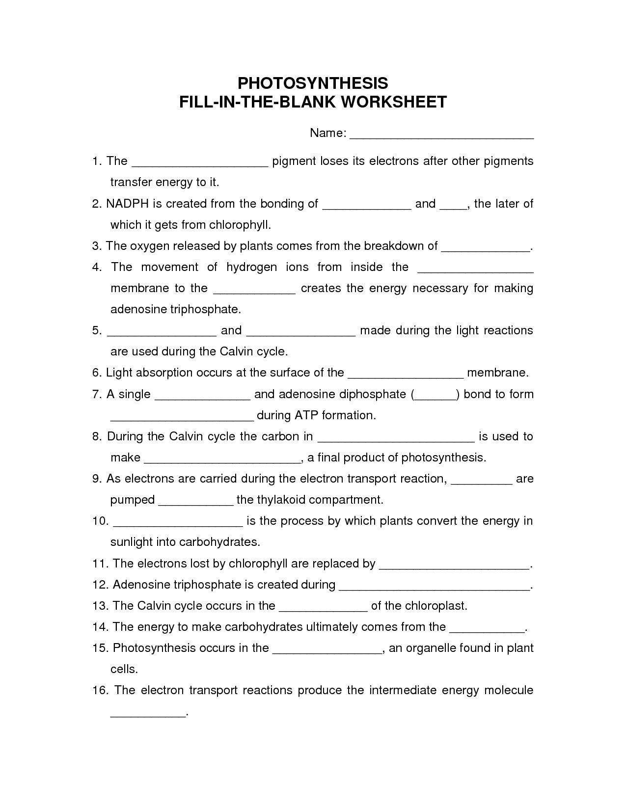 15 Best Images Of Plant Photosynthesis Worksheet Photosynthesis Worksheet Answer Key 