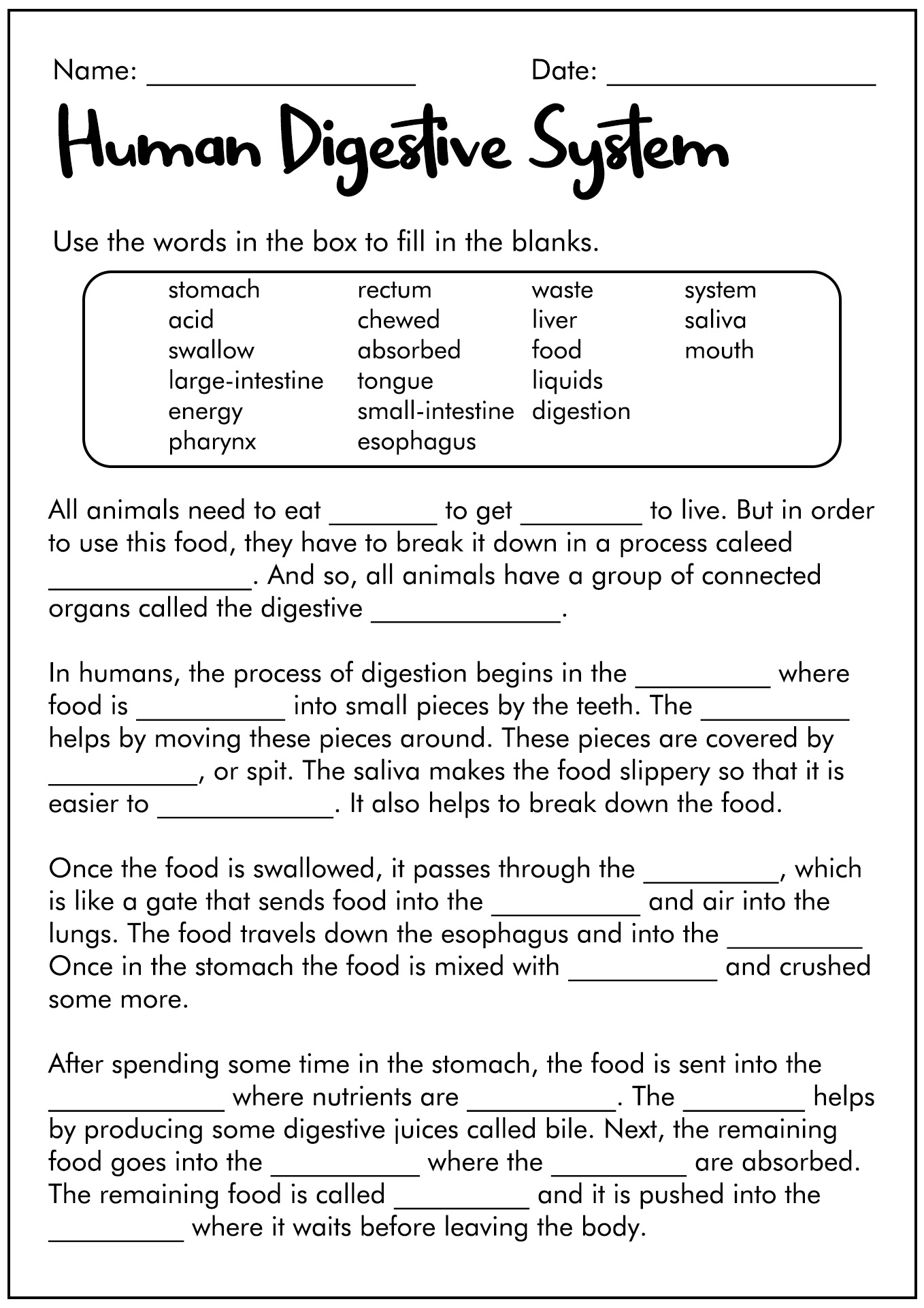 11 Best Images Of Digestive System Worksheet Answer Key Digestive 