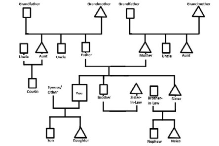 Addiction Genogram Worksheet Pdf