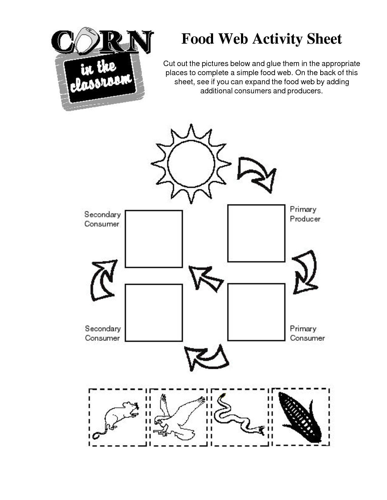 16 Best Images Of Food Chain Worksheet Cut And Paste Food Chain 