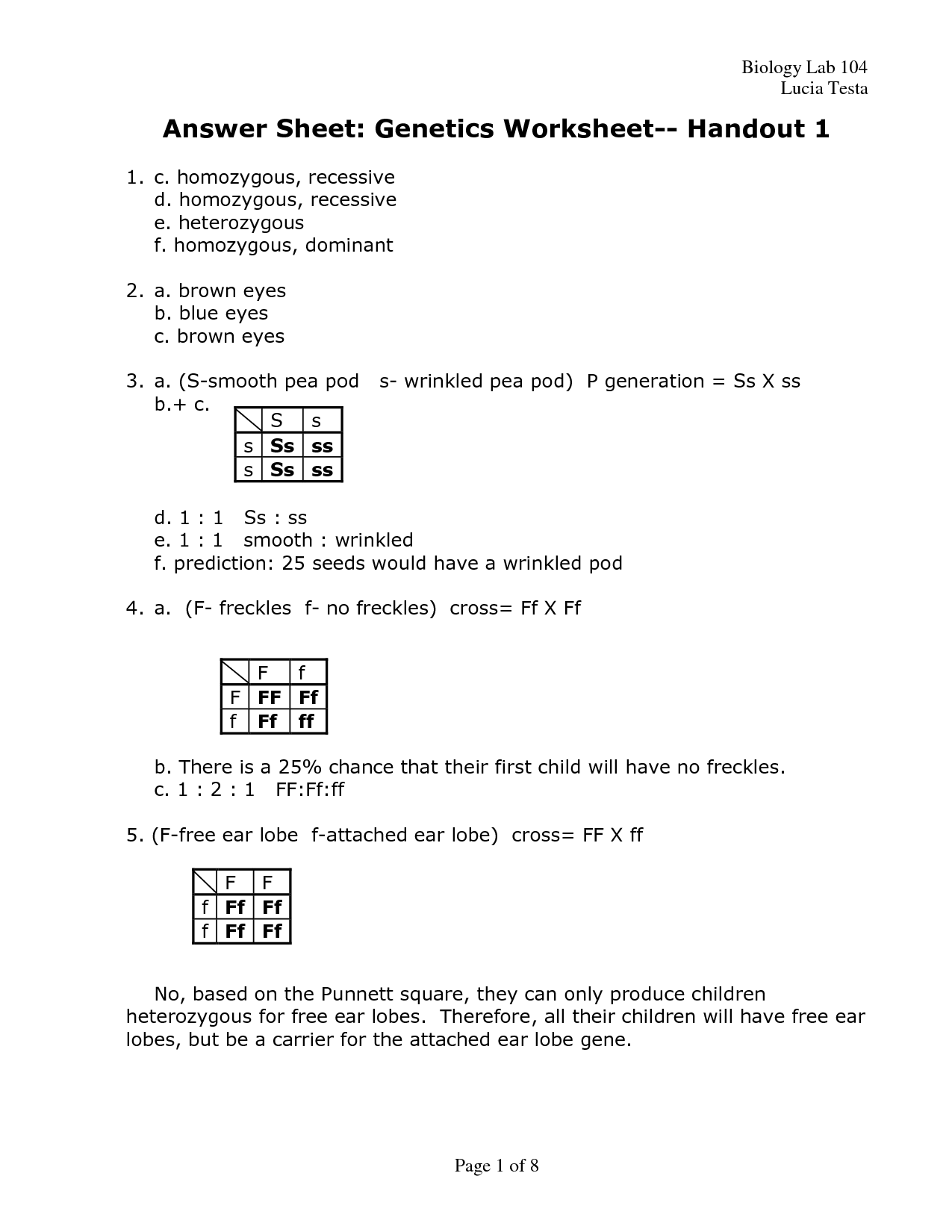 17 Best Images Of Genetics Challenge Answer Key Worksheet Bikini Bottom Genetics 2 Worksheet 