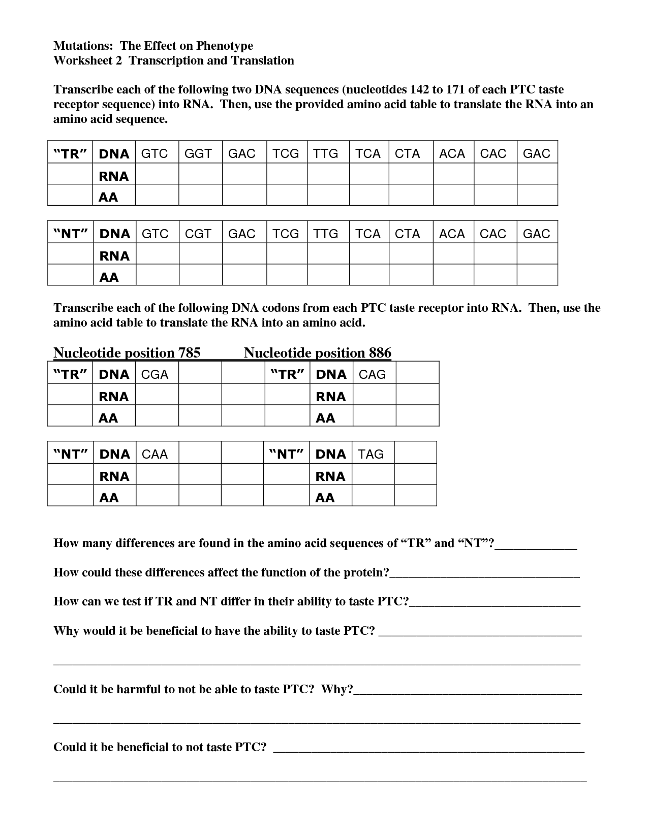 15 Best Images Of Transcription Translation Worksheet Answer Key 