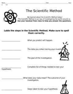 11 Best Images of Scientific Method Worksheets For 6th Grade