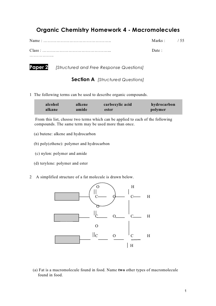 14 Best Images Of Macromolecules Concept Map Worksheet Macromolecules Chart Worksheet Carbon 