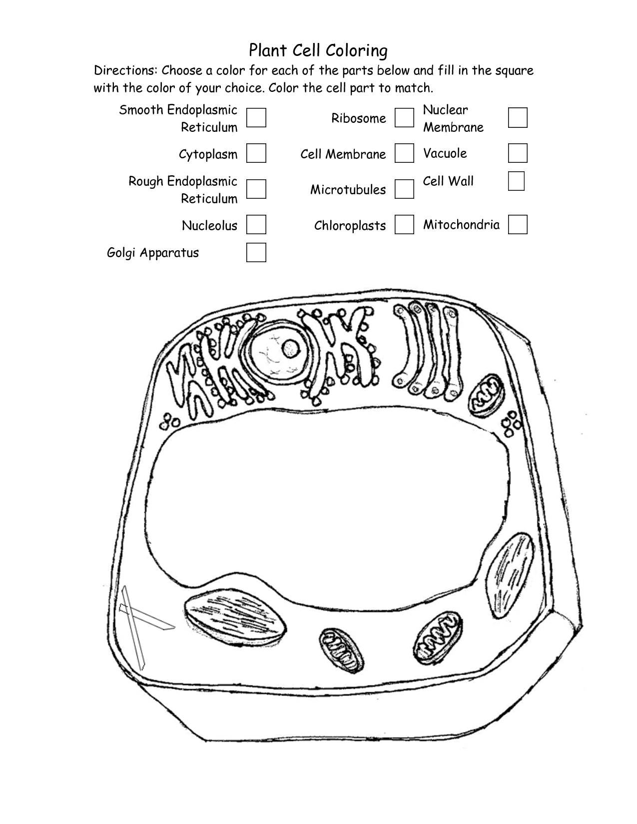 Cell Coloring Worksheet Key Inspiresio