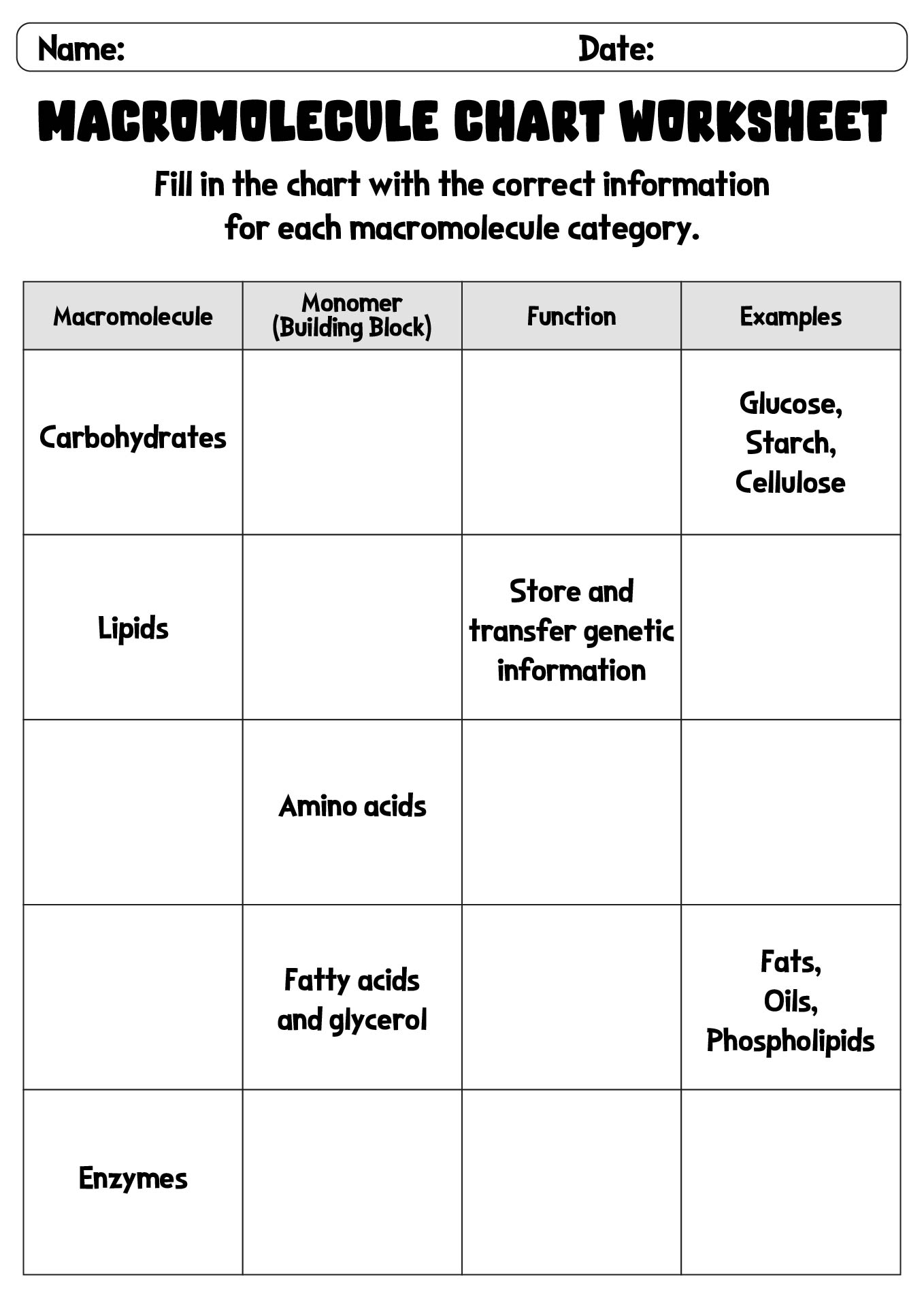 14 Best Images Of Biology Macromolecules Worksheets And Answers 