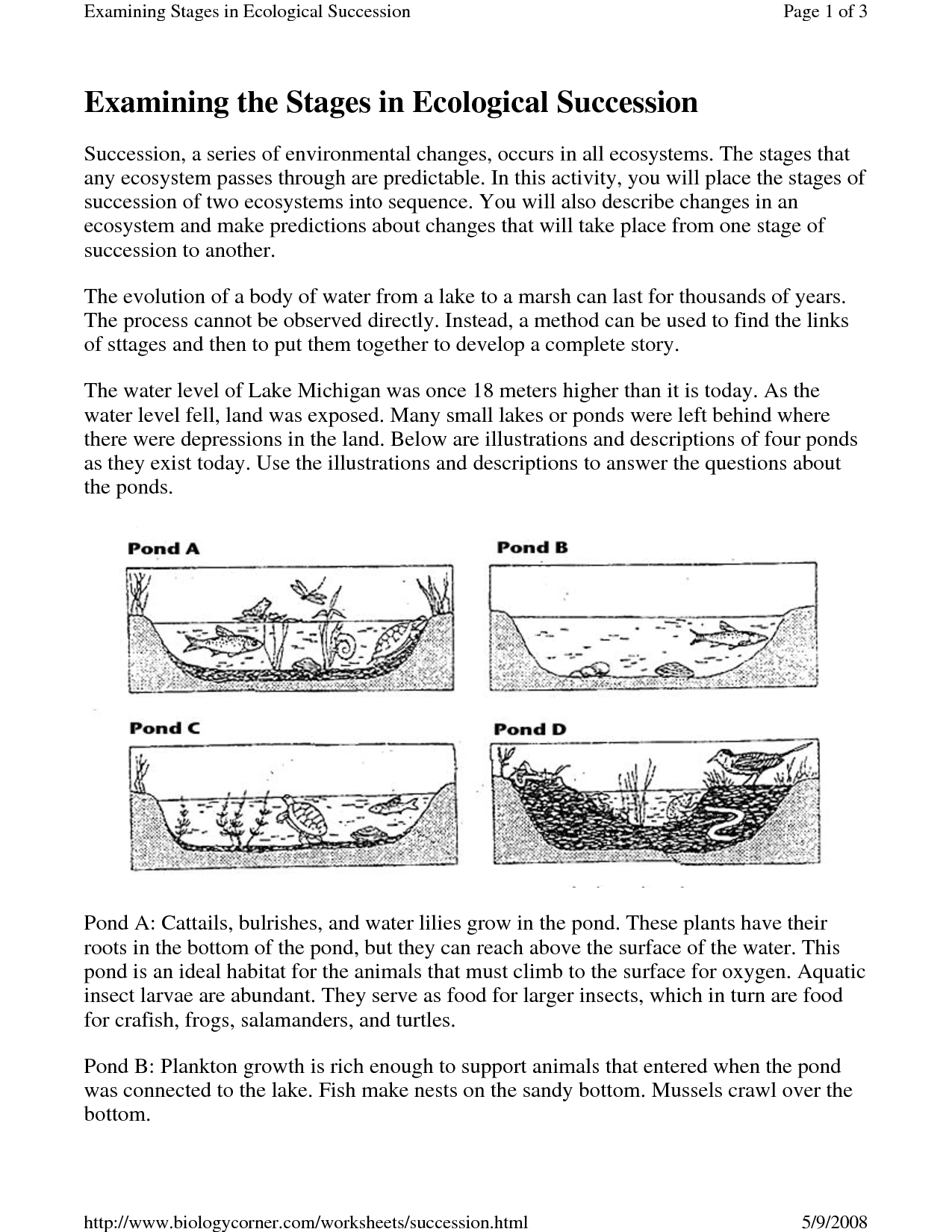 17 Best Images Of Primary Vs Secondary Succession Worksheet Primary And Secondary Succession 