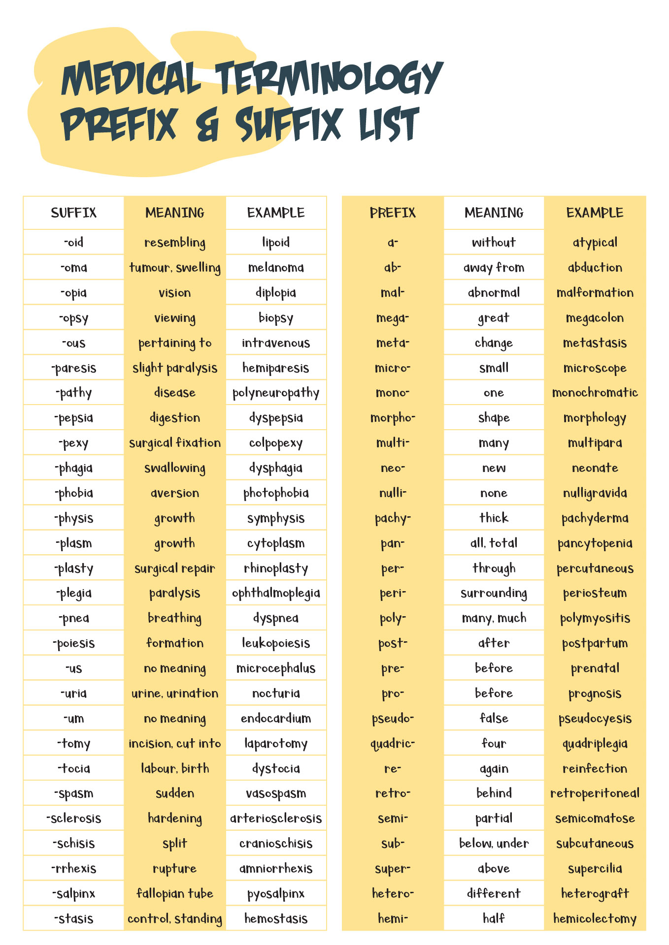 12 Best Images Of Prefix Re Worksheet Prefix Un Words Worksheets 