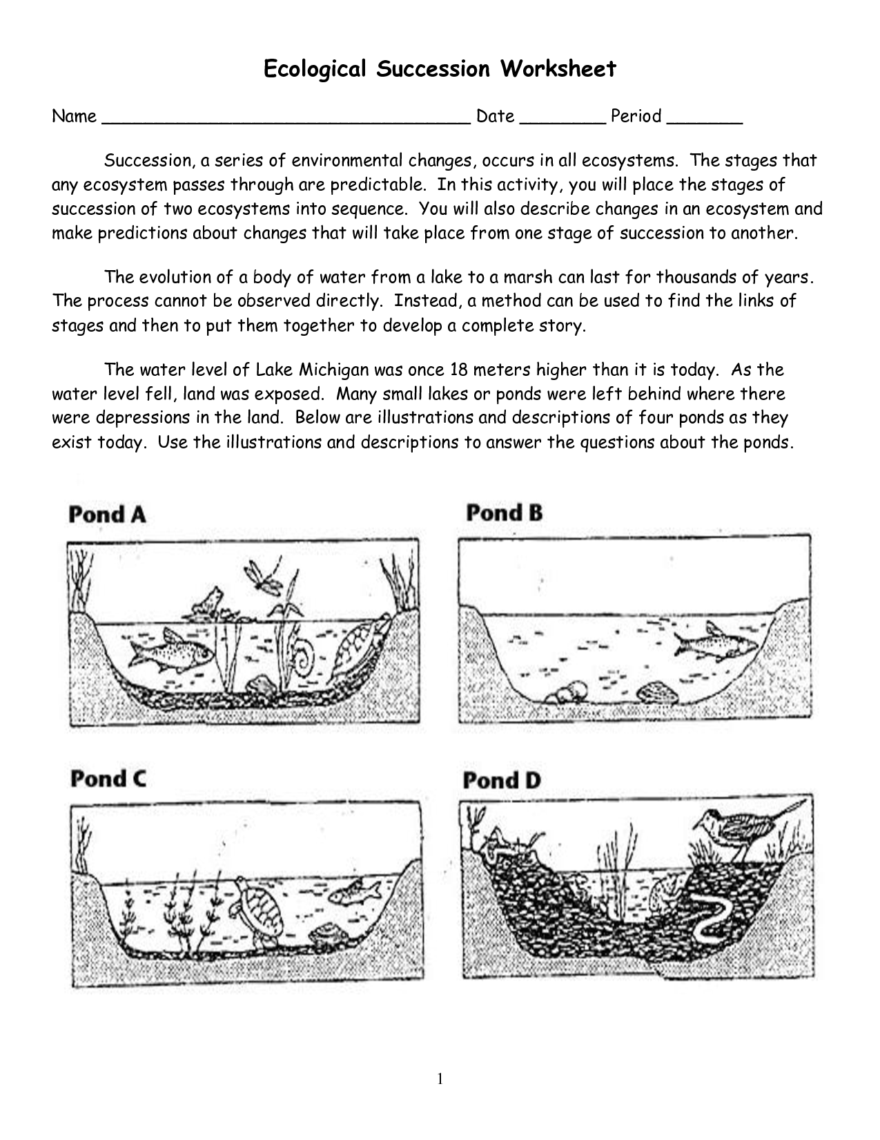 17 Best Images Of Primary Vs Secondary Succession Worksheet Primary And Secondary Succession 