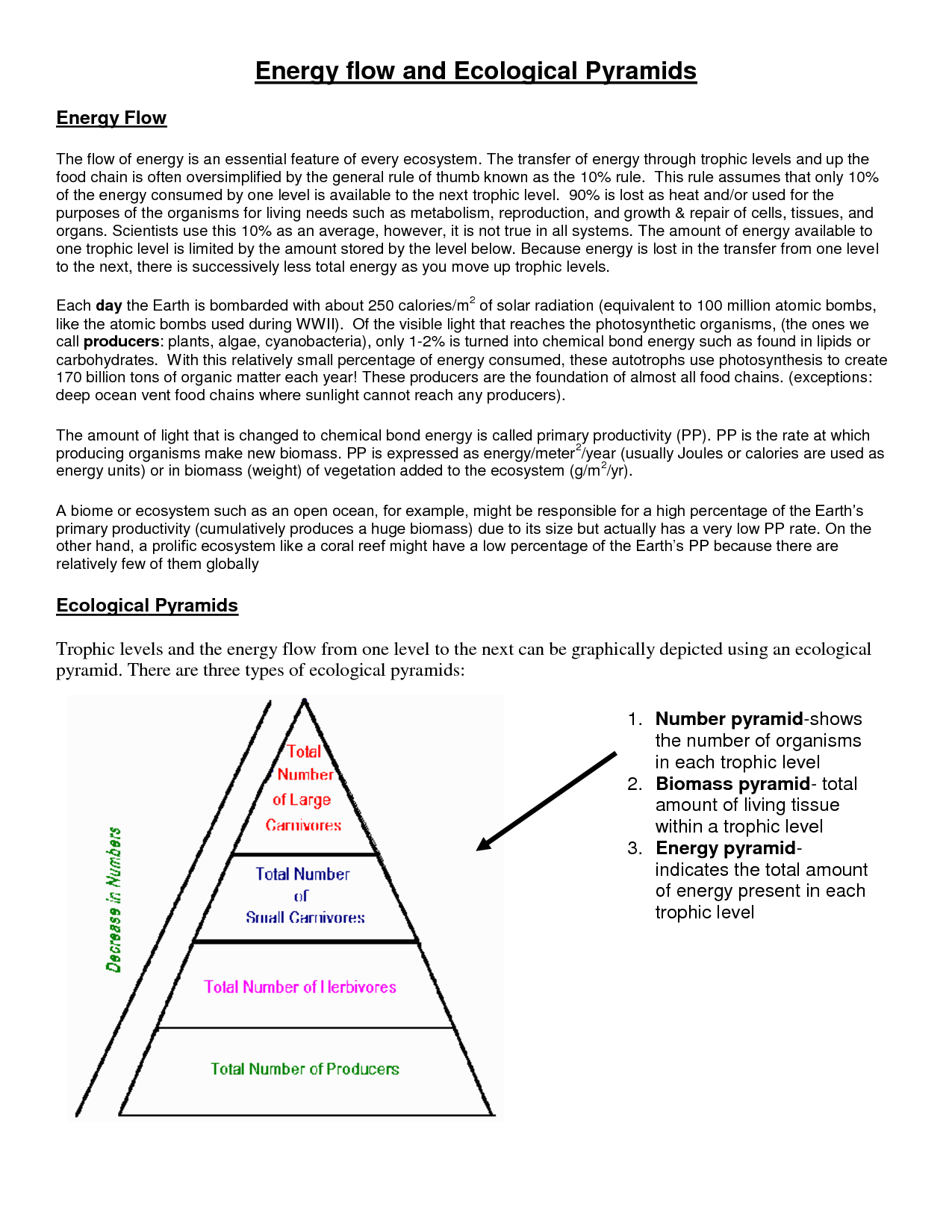 13 Best Images Of Ecological Pyramids Worksheet Answer Key Photosynthesis Biology Answer Key 