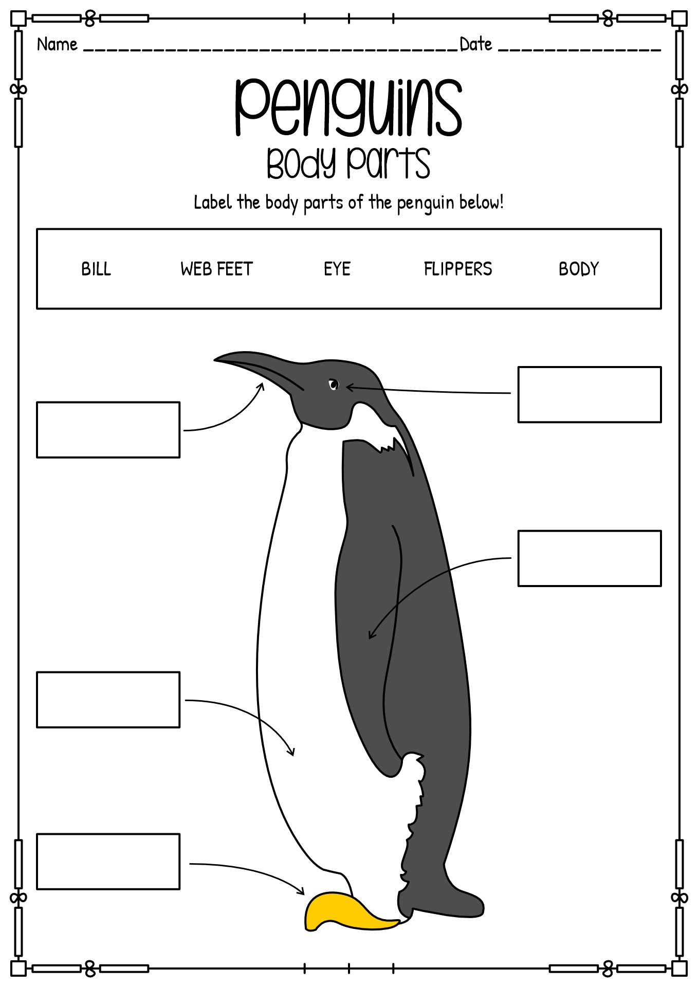Free Printable Worksheet On Heiight Of A Penguin