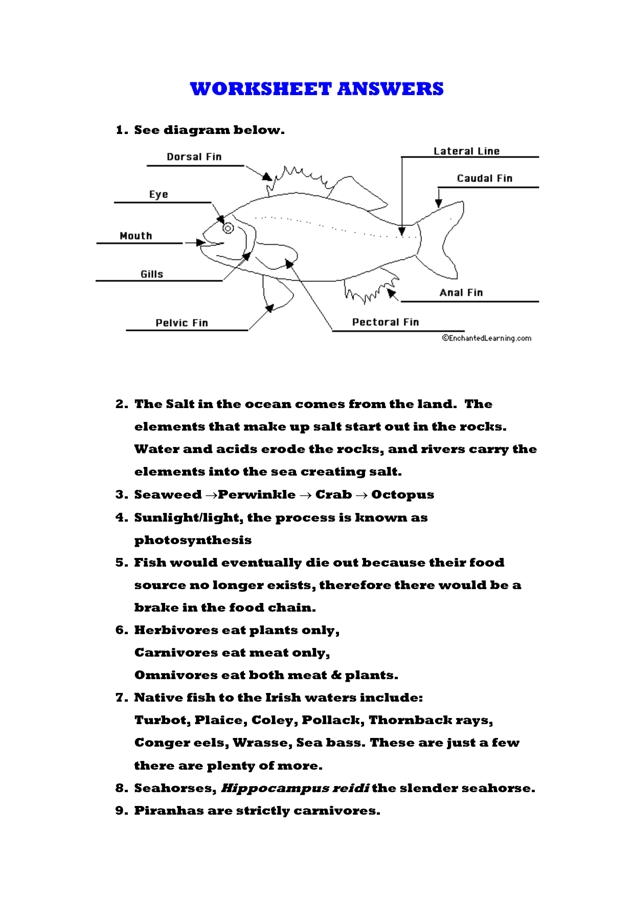 10 Best Images Of Photosynthesis Starts With Worksheet Answers Photosynthesis And Cellular 