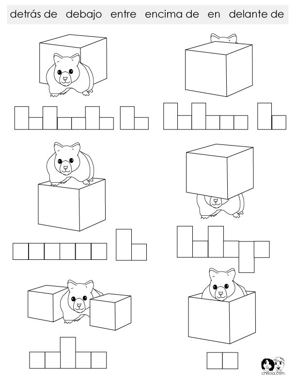 18-best-images-of-location-words-worksheet-kindergarten-positional