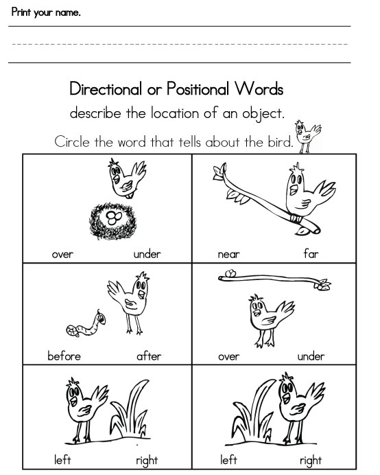 15 Best Images Of Kindergarten Position Worksheets Free Kindergarten 