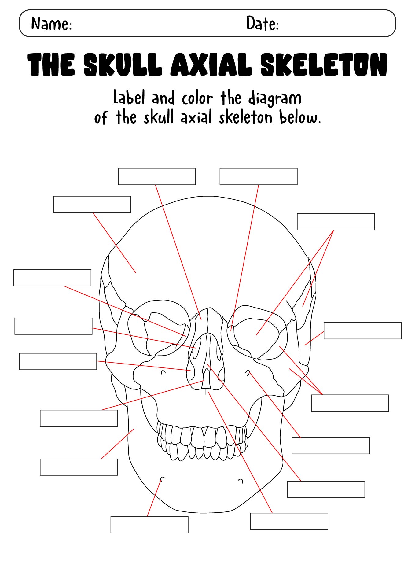 12 Best Images Of Anatomy Practice Worksheets Skull Bones Worksheet 