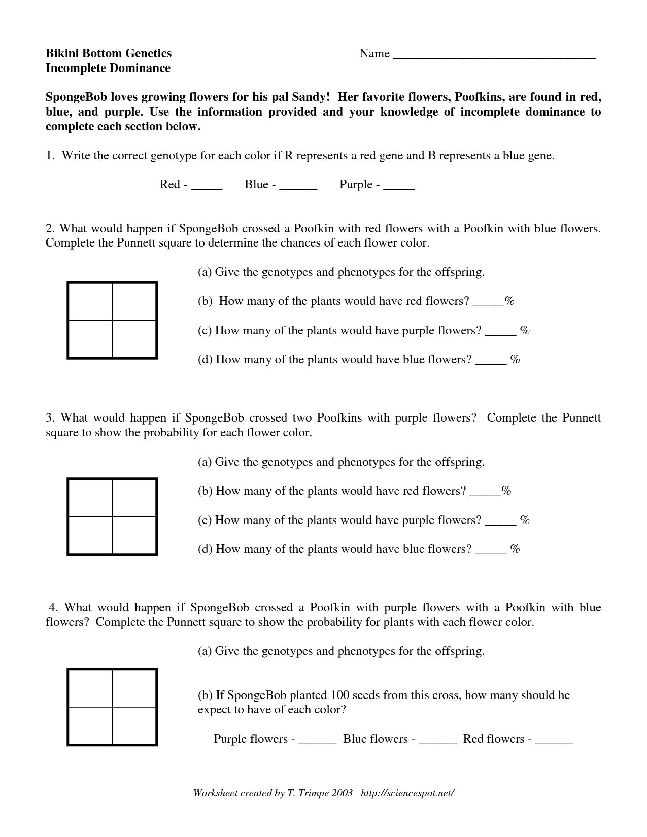 16 Best Images Of Incomplete And Codominance Worksheet Answers 