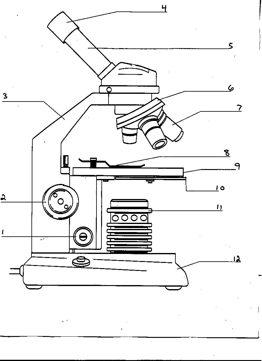 17-best-images-of-blank-microscope-worksheet-blank-microscope-diagram