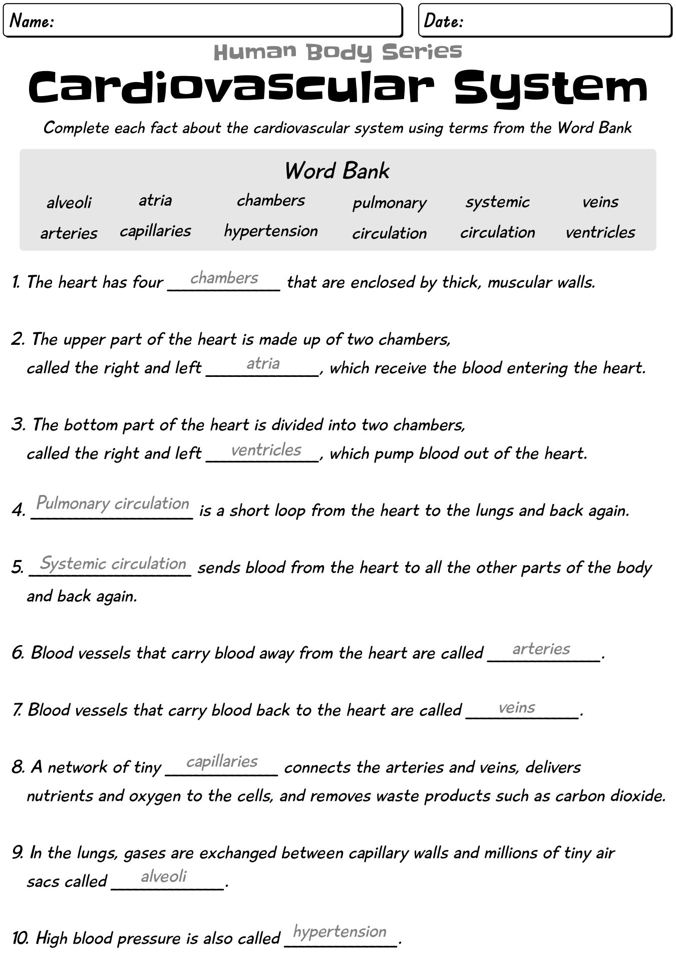 18 Best Images Of Circulatory System Worksheets And Answers 