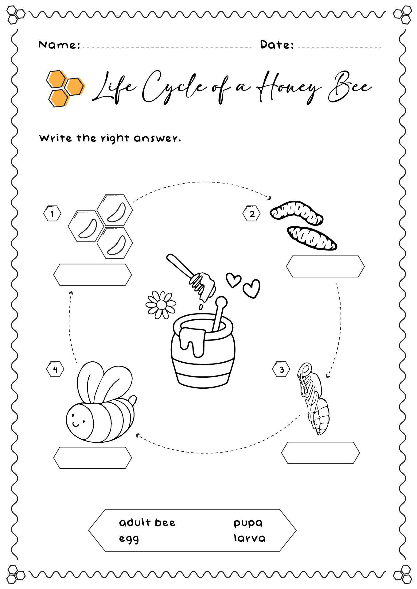 12 Best Images Of Bee Worksheets For First Graders Honey Bee Activity Sheets Bees Book