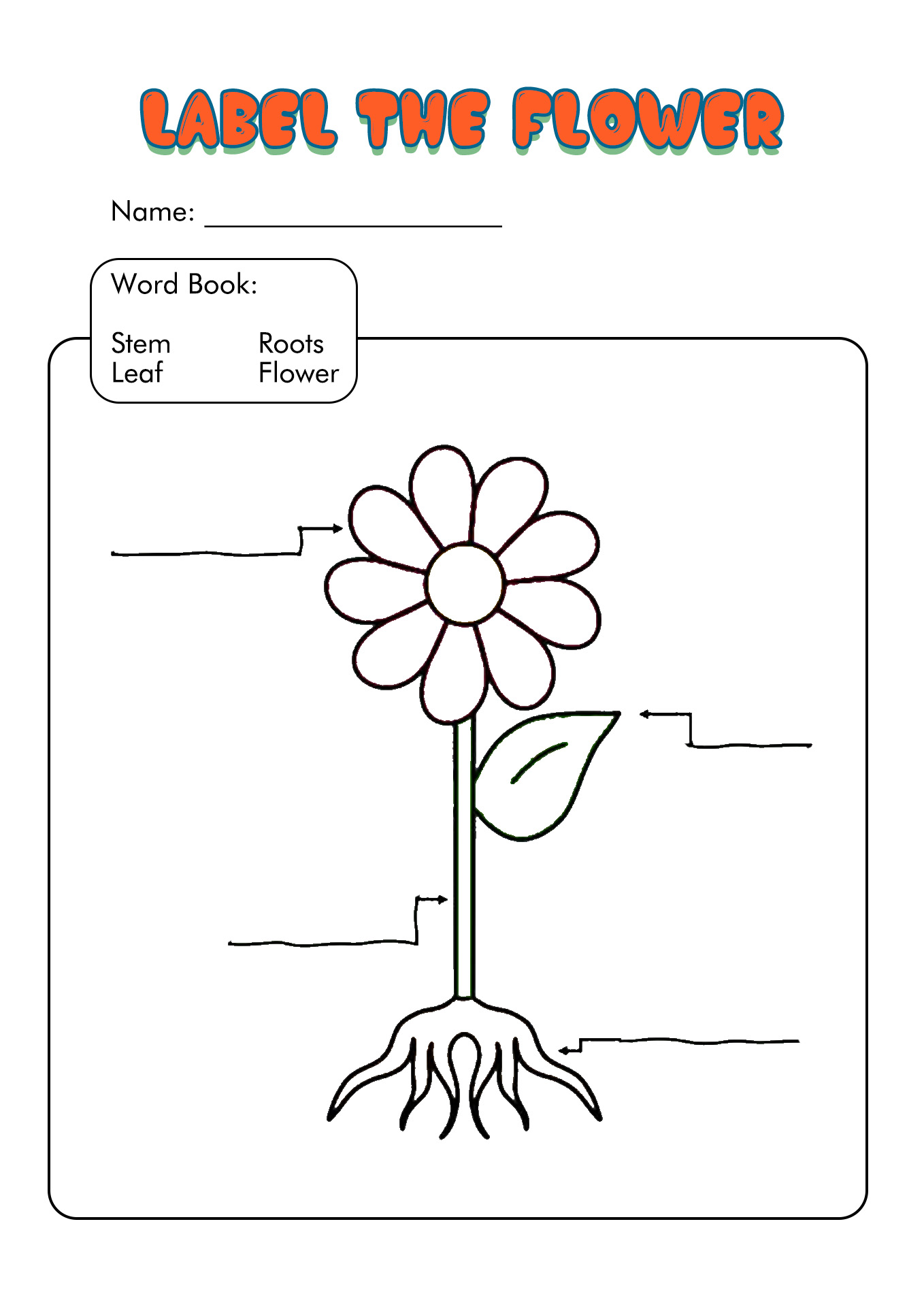 Printable Parts Of A Flower Worksheet