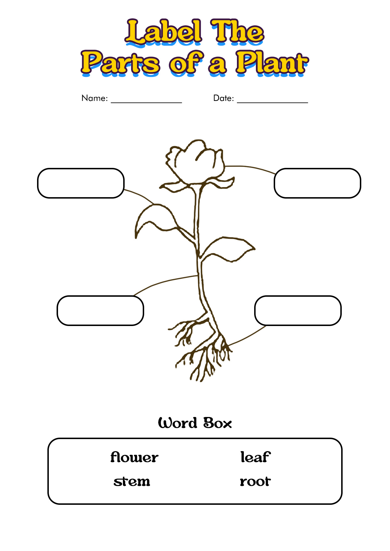 Parts Of Plants Worksheet