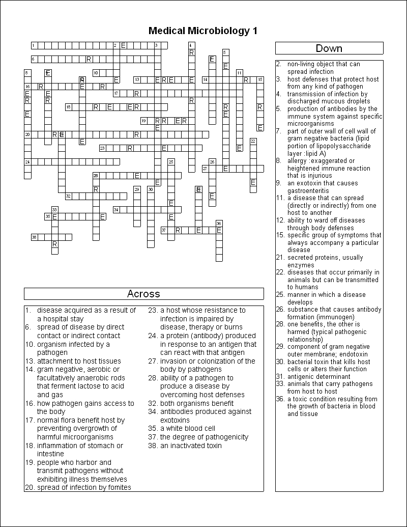 16 Best Images Of Cell Word Search Puzzle Worksheet Genetics 