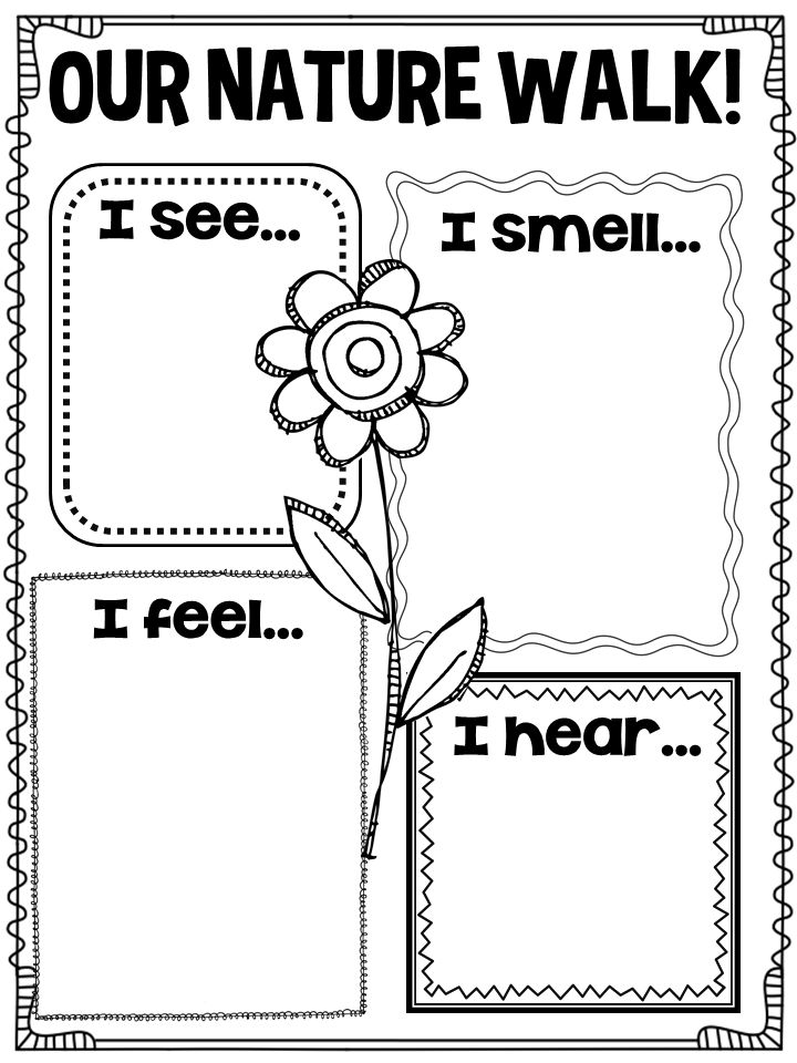 13 Best Images Of Nature Worksheets For Kindergarten Free Printable 