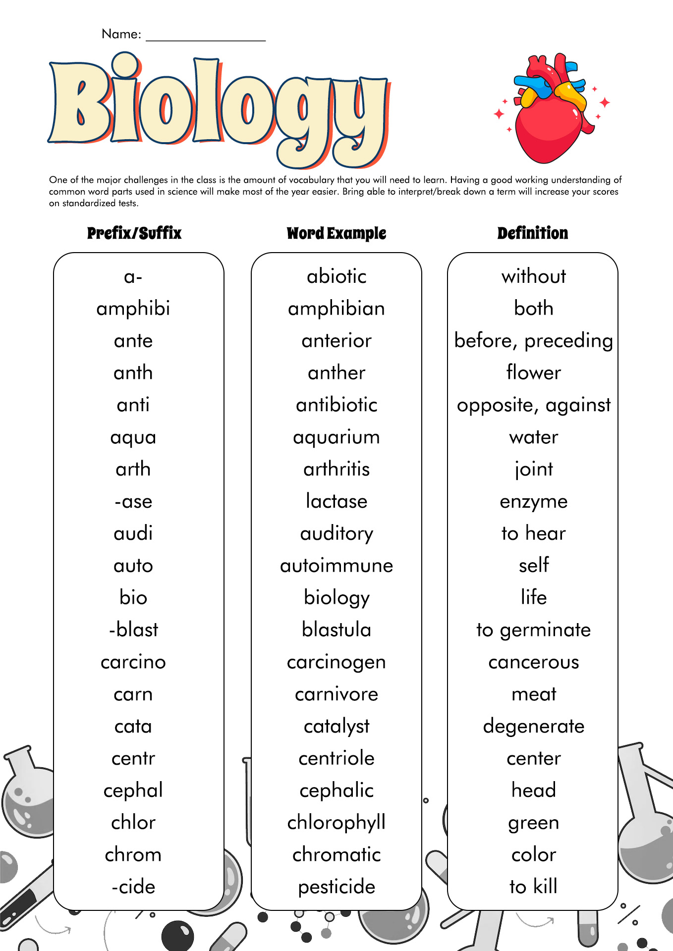 Medical Terminology Worksheet Prefixes Suffixes And Root Wor