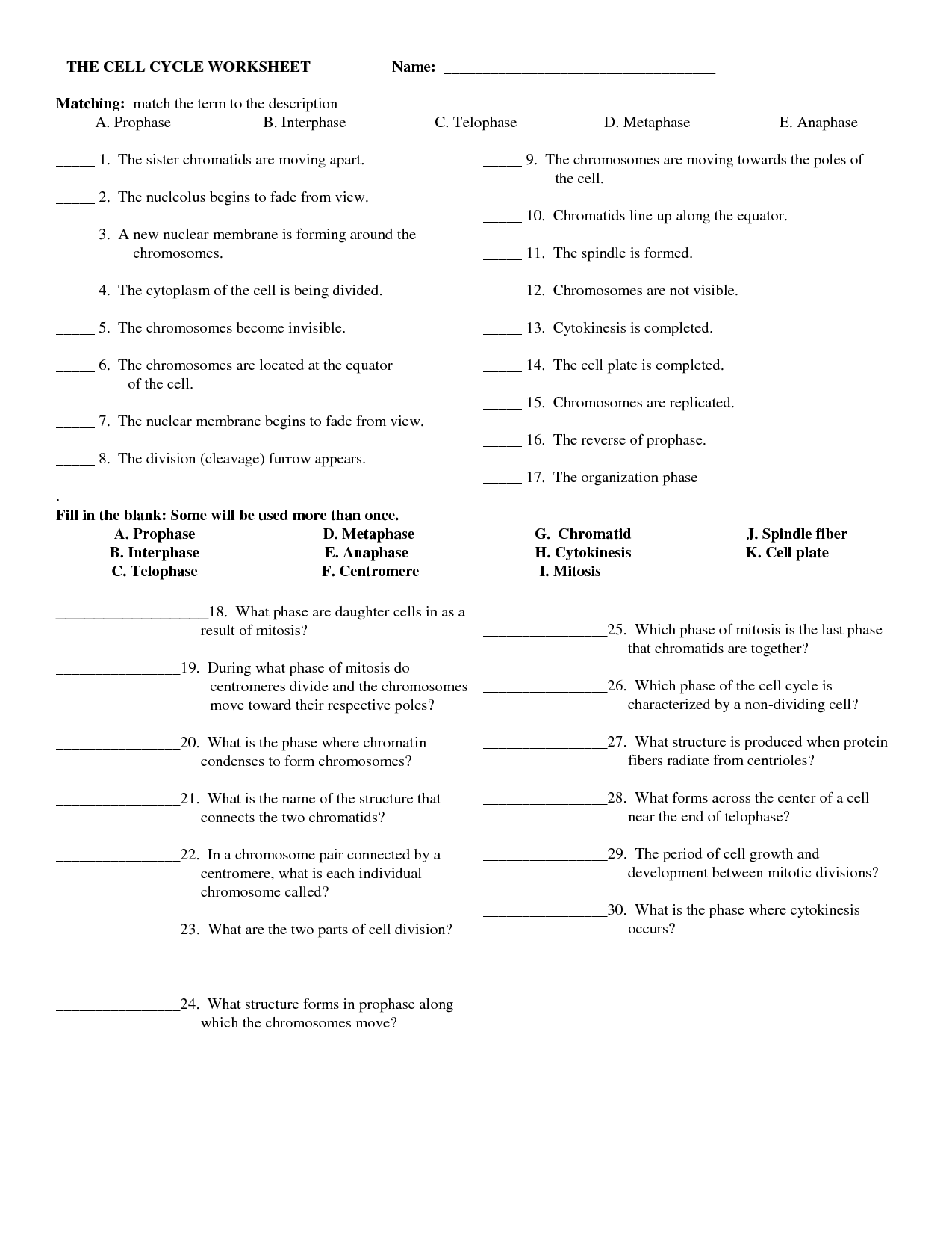 18 Best Images Of Cell Cycle Review Worksheet Answers Cell Cycle 