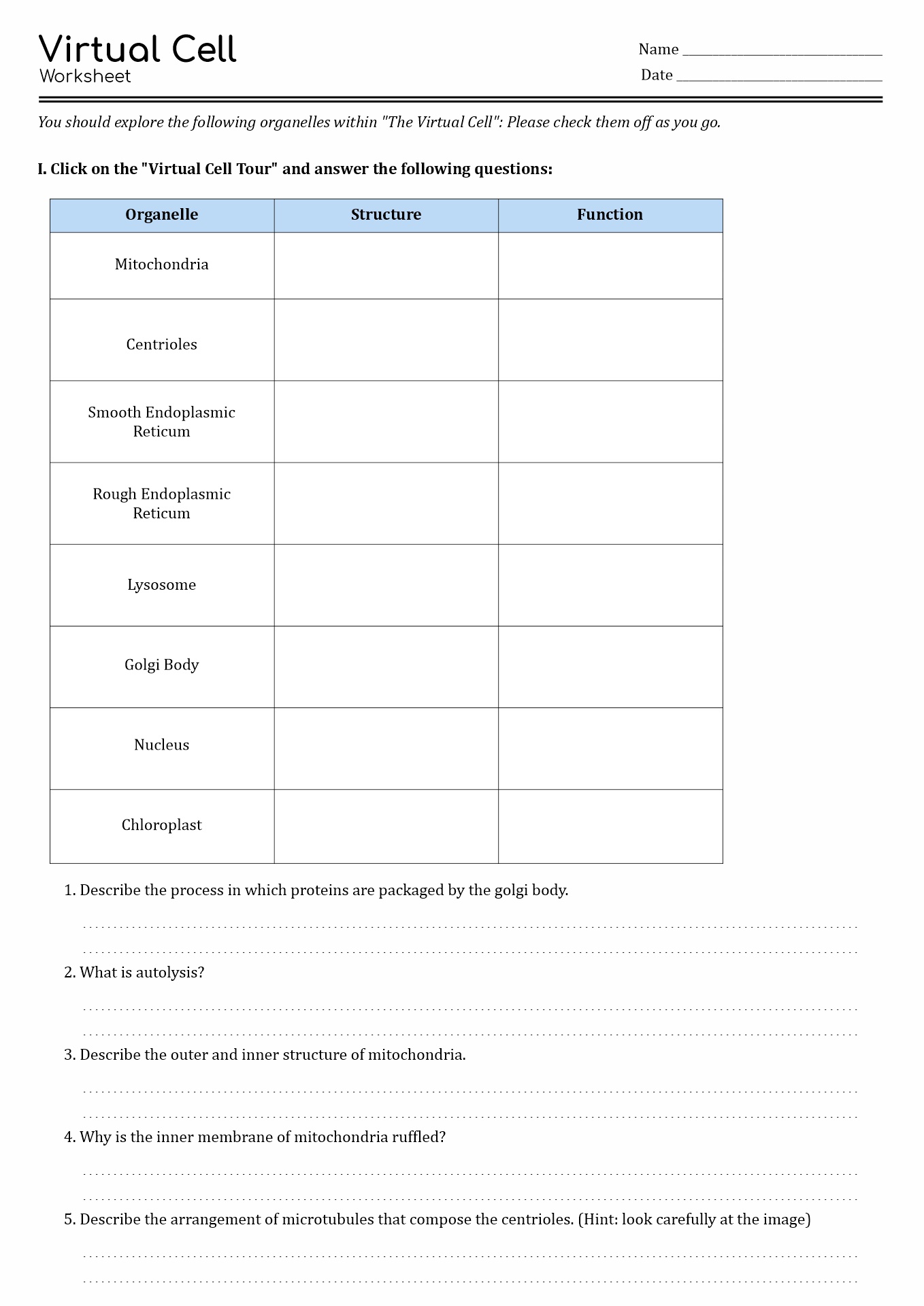 13 Best Images Of The Cell Cycle Worksheet Study Guide Cell Cycle Worksheet Answers Cell 