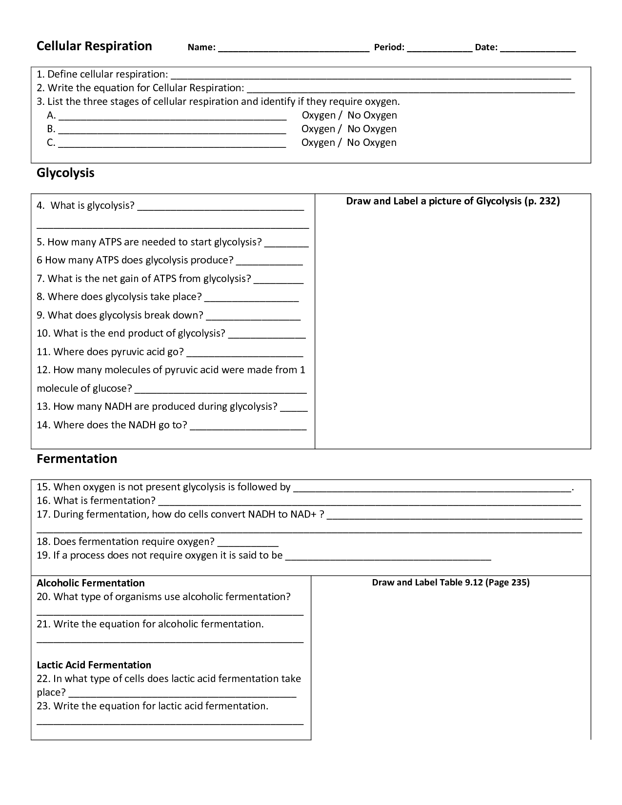 12 Best Images Of Aerobic Respiration Worksheet Answer Key Cellular Respiration Worksheet 