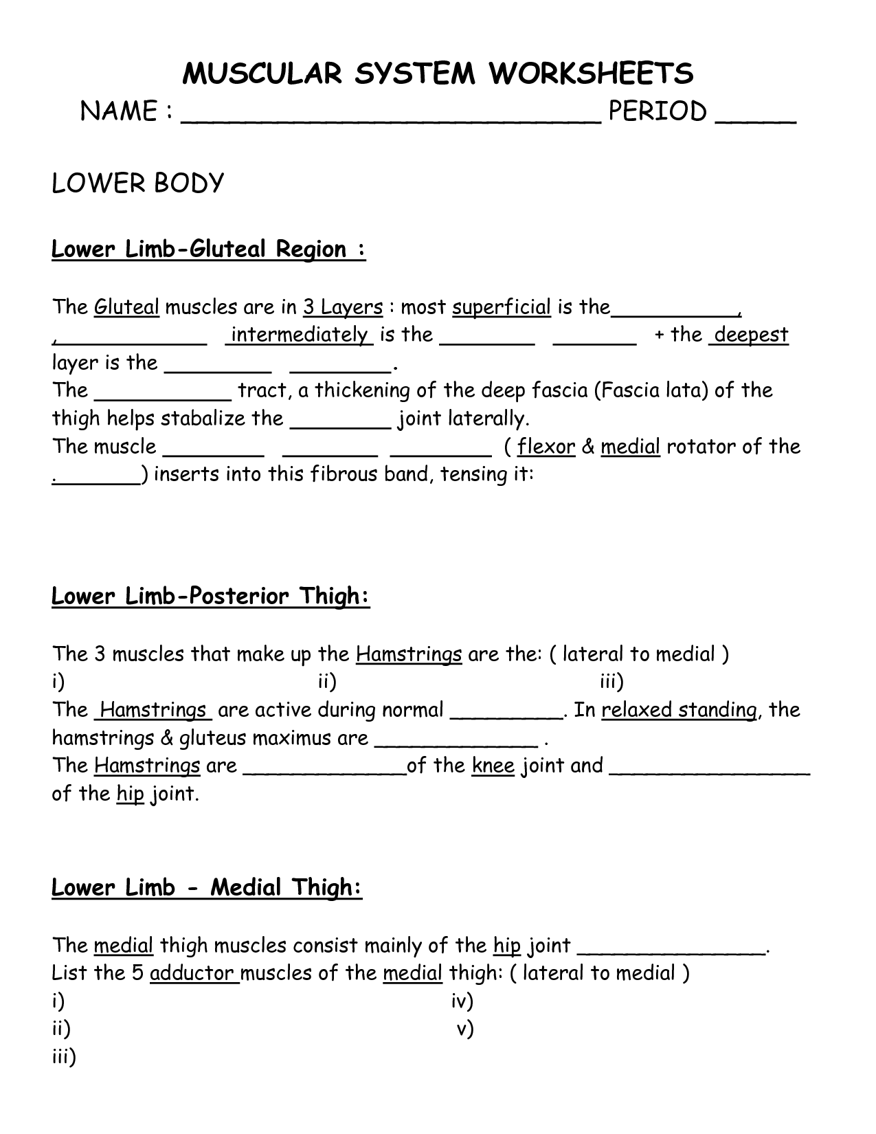 15 Best Images of Heart Labeling Worksheet - Blank Heart Diagram