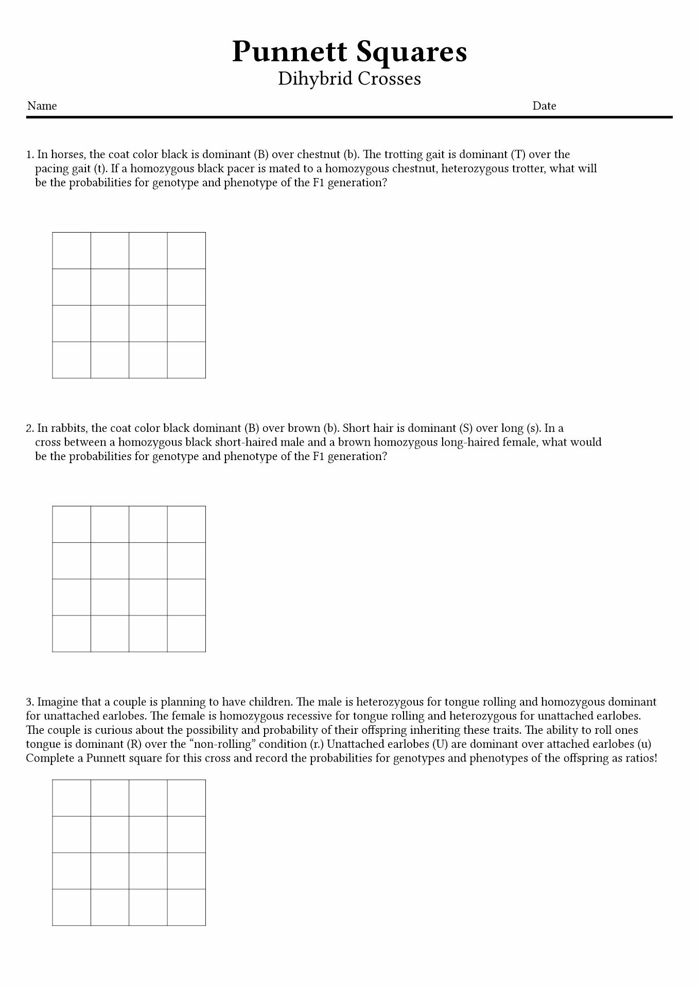 Answer Key Dihybrid Cross Problems Worksheet With Answers