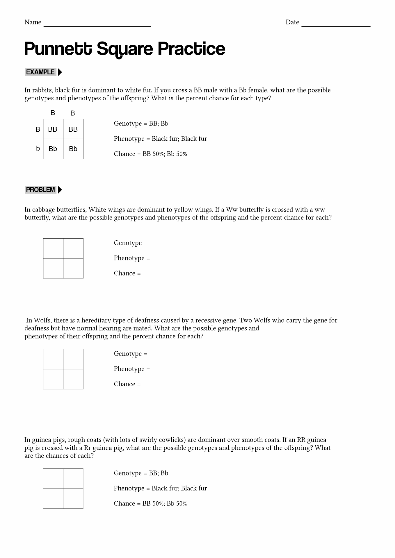 Punnett Square Practice Worksheet Answer