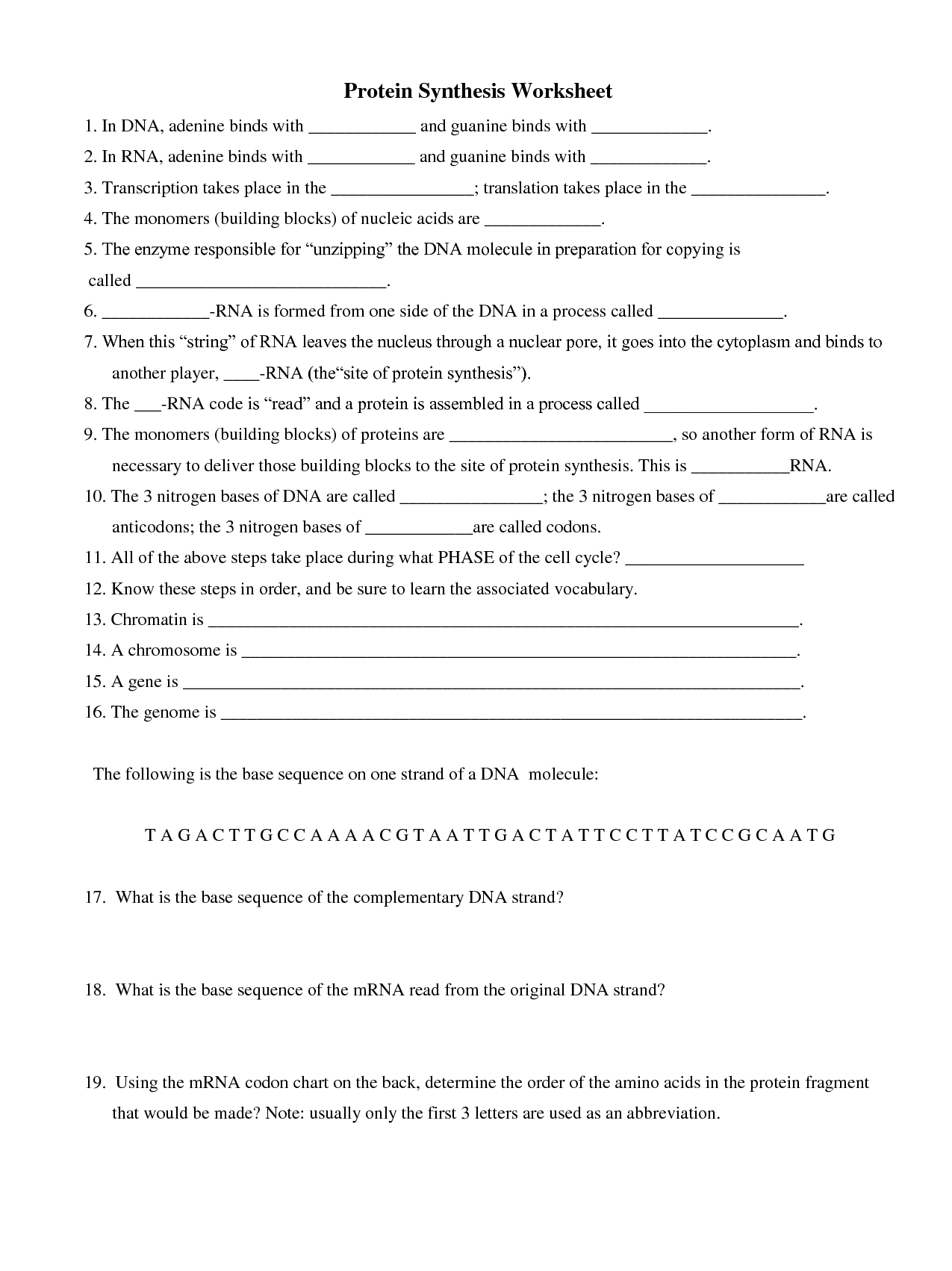 15 Best Images Of Nucleic Acids Worksheet Key Protein Synthesis Worksheet Answers 