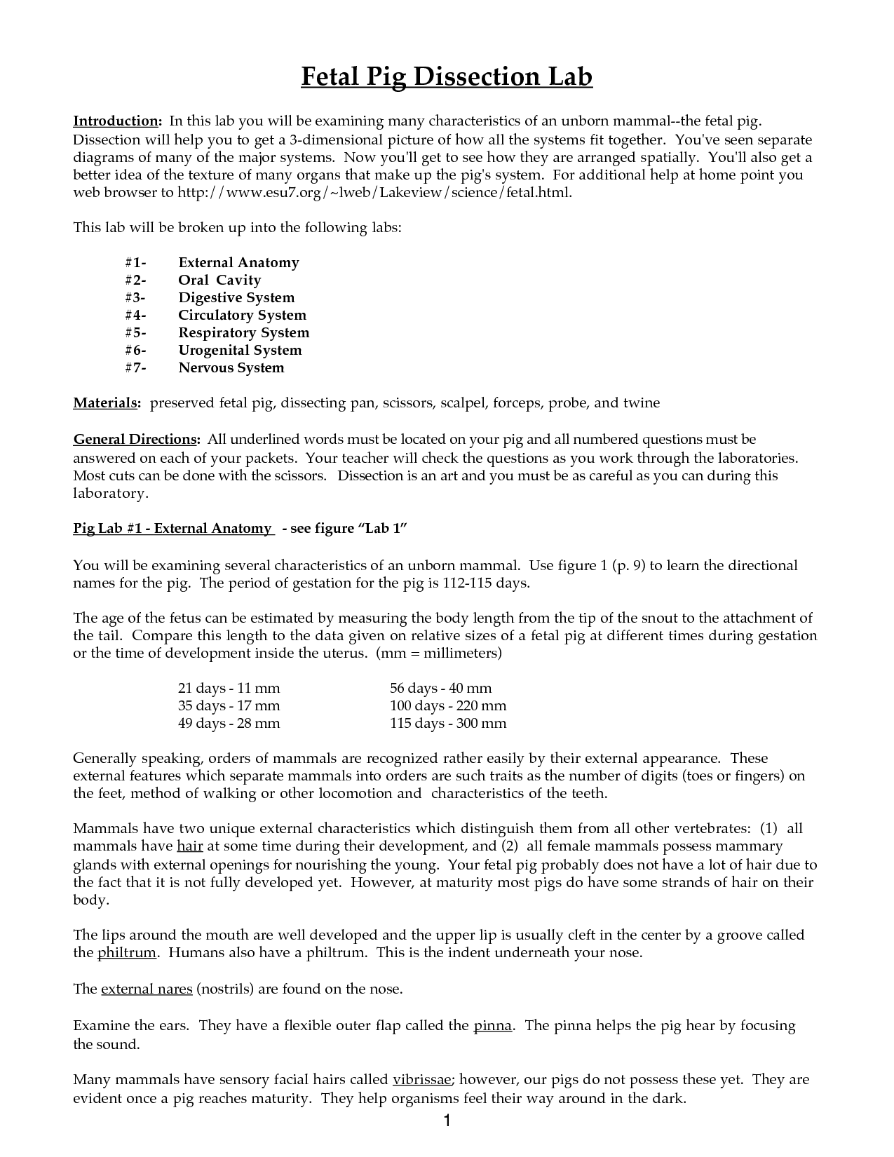 14 Best Images Of Heart Dissection Worksheet Circulatory System Heart 