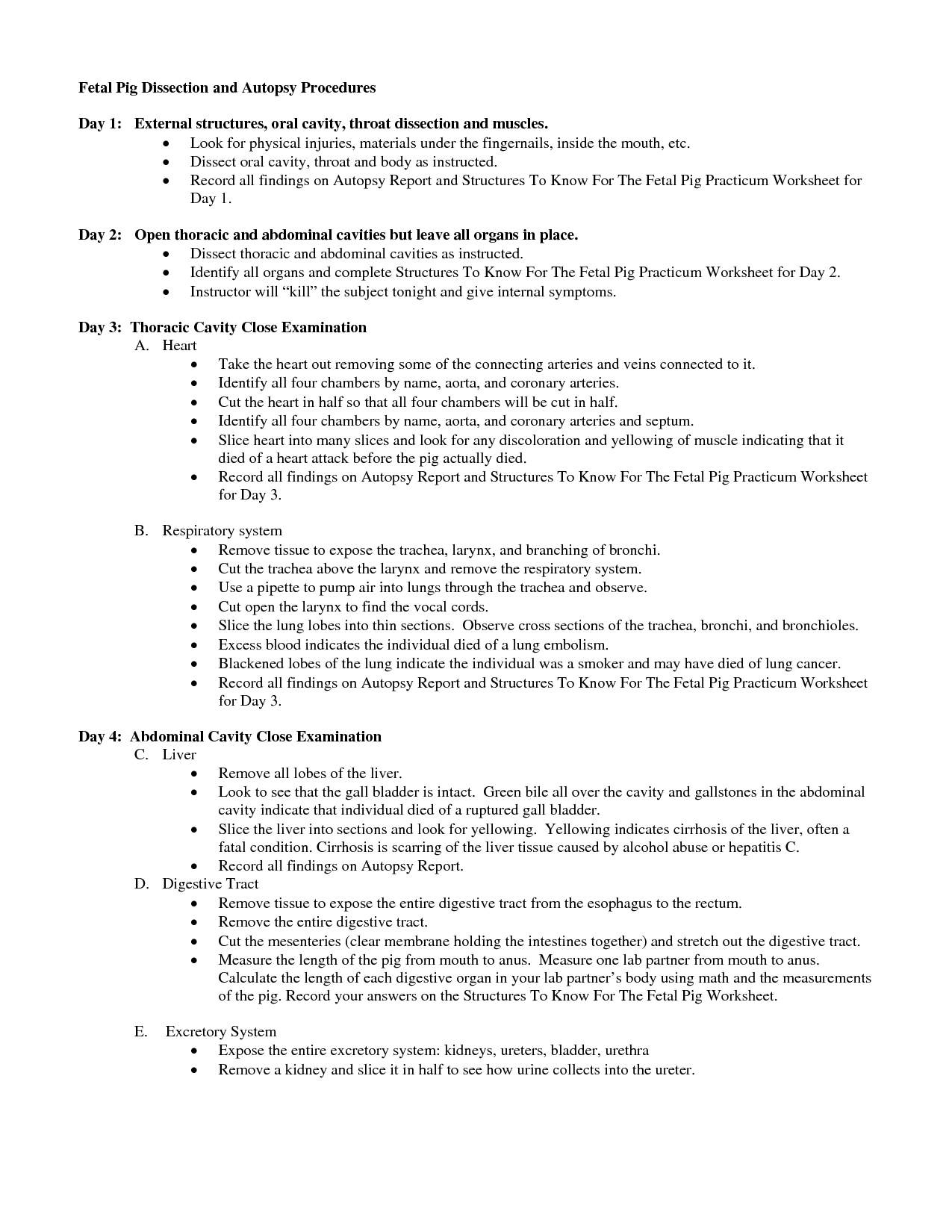 Fetal Pig Dissection Lab Worksheet Printable Word Searches