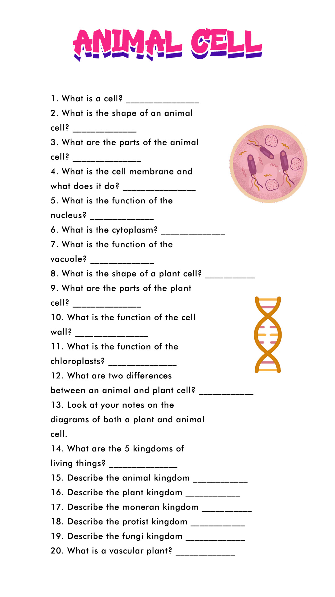 14 Best Images Of Cell Organelle Riddles Worksheet Answers Cells And 