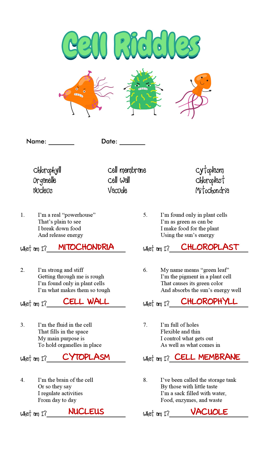 14 Best Images Of Cell Organelle Riddles Worksheet Answers Cells And 